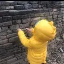 18��Ϊʲô��ЩSQL�������ͬ������ȴ����� - 图10