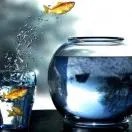 03��������룺Ϊʲô������һ������� - 图13