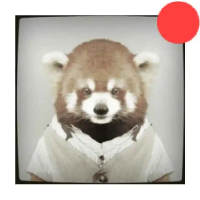 03��������룺Ϊʲô������һ������� - 图20