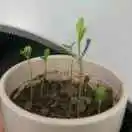 12��Ϊʲô�ҵ�MySQL�ᡰ����һ�� - 图19