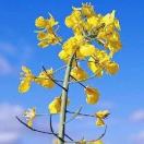 25��MySQL����ô��֤�߿��õ� - 图17