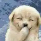 33���Ҳ���ô�����ݣ��᲻������ݿ��ڴ�� - 图14