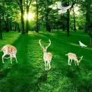 37��ʲôʱ���ʹ���ڲ���ʱ�� - 图30