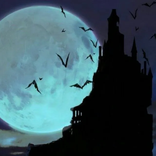 01�������ܹ���һ��SQL��ѯ��������ִ�е� - 图8