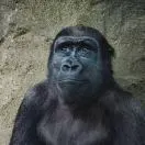 17�������ȷ����ʾ�����Ϣ - 图22