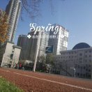 31����ɾ���ݺ������·��������ô�� - 图17