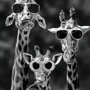 12��Ϊʲô�ҵ�MySQL�ᡰ����һ�� - 图23