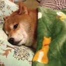 17�������ȷ����ʾ�����Ϣ - 图11