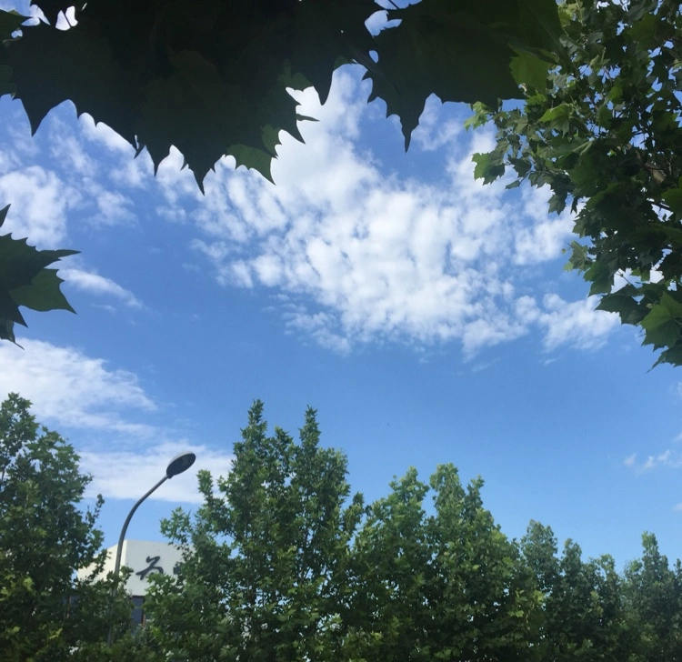 09����ͨ������Ψһ������Ӧ����ôѡ�� - 图16