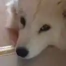 09����ͨ������Ψһ������Ӧ����ôѡ�� - 图12