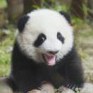 11����ô���ַ����ֶμ����� - 图25