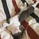 37��ʲôʱ���ʹ���ڲ���ʱ�� - 图23