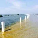 10��MySQLΪʲô��ʱ���ѡ������ - 图26