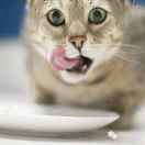 07��������������ô�������������ܵ�Ӱ�� - 图20