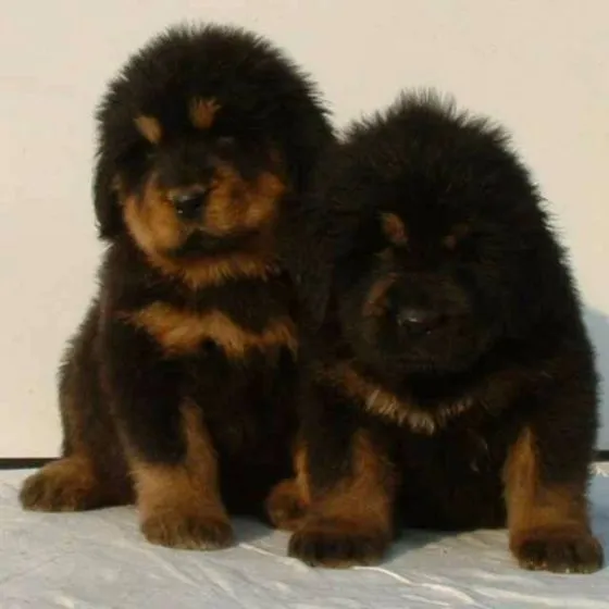 05������ǳ������(��) - 图19