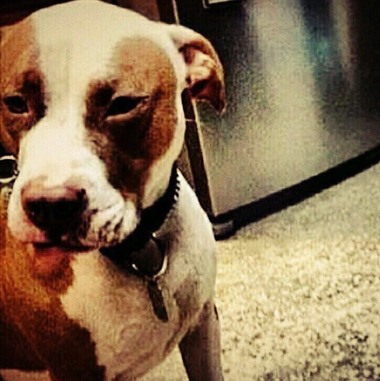 18��Ϊʲô��ЩSQL�������ͬ������ȴ����� - 图23