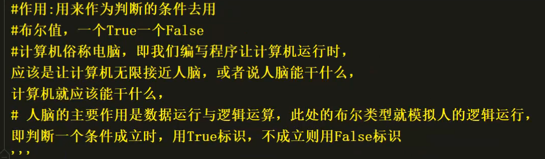 布尔类型.png