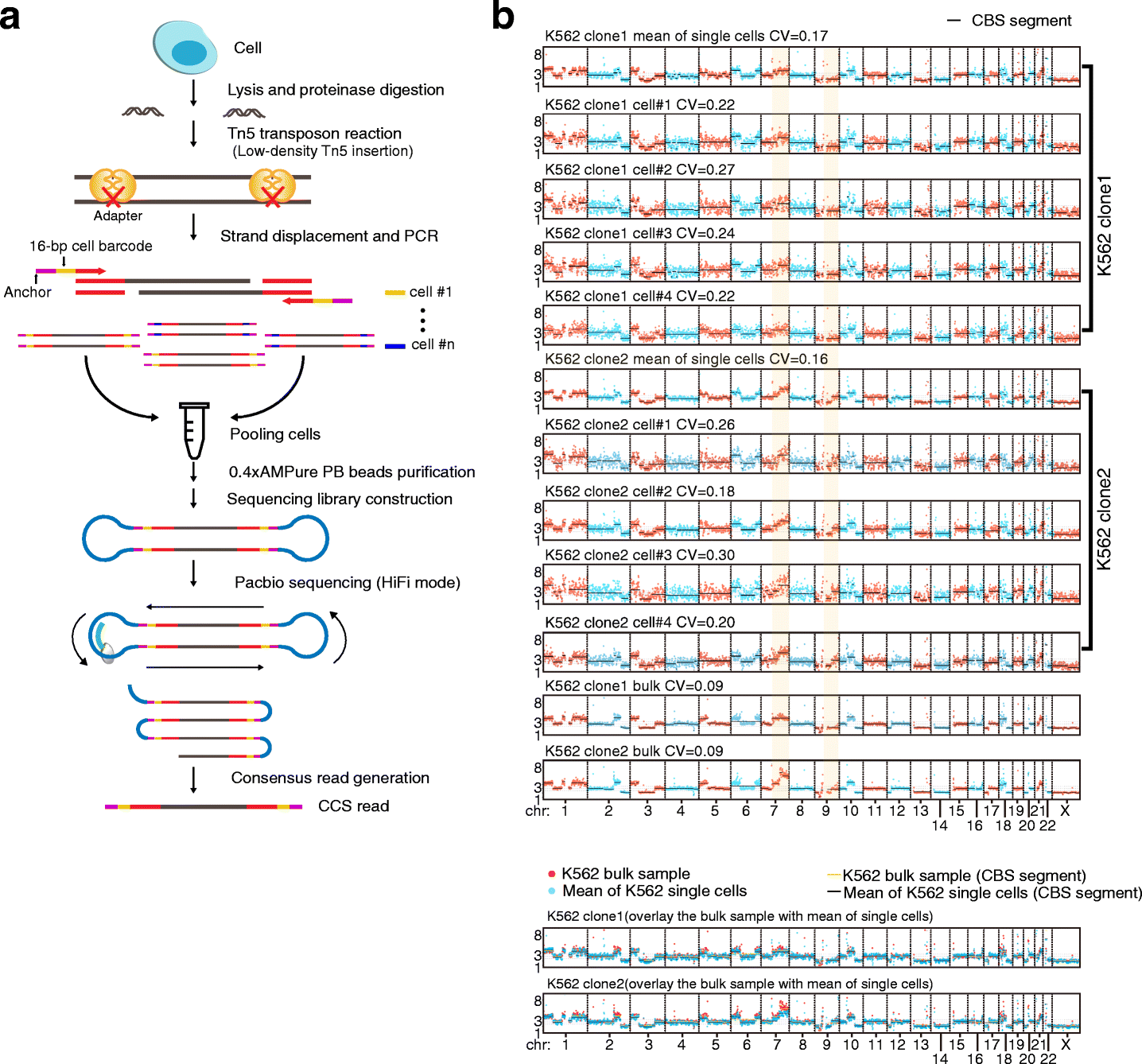 SMOOTH-seq – single-cell genome sequencing of human cells on a third-generation sequencing platform | RNA-Seq Blog - 图1