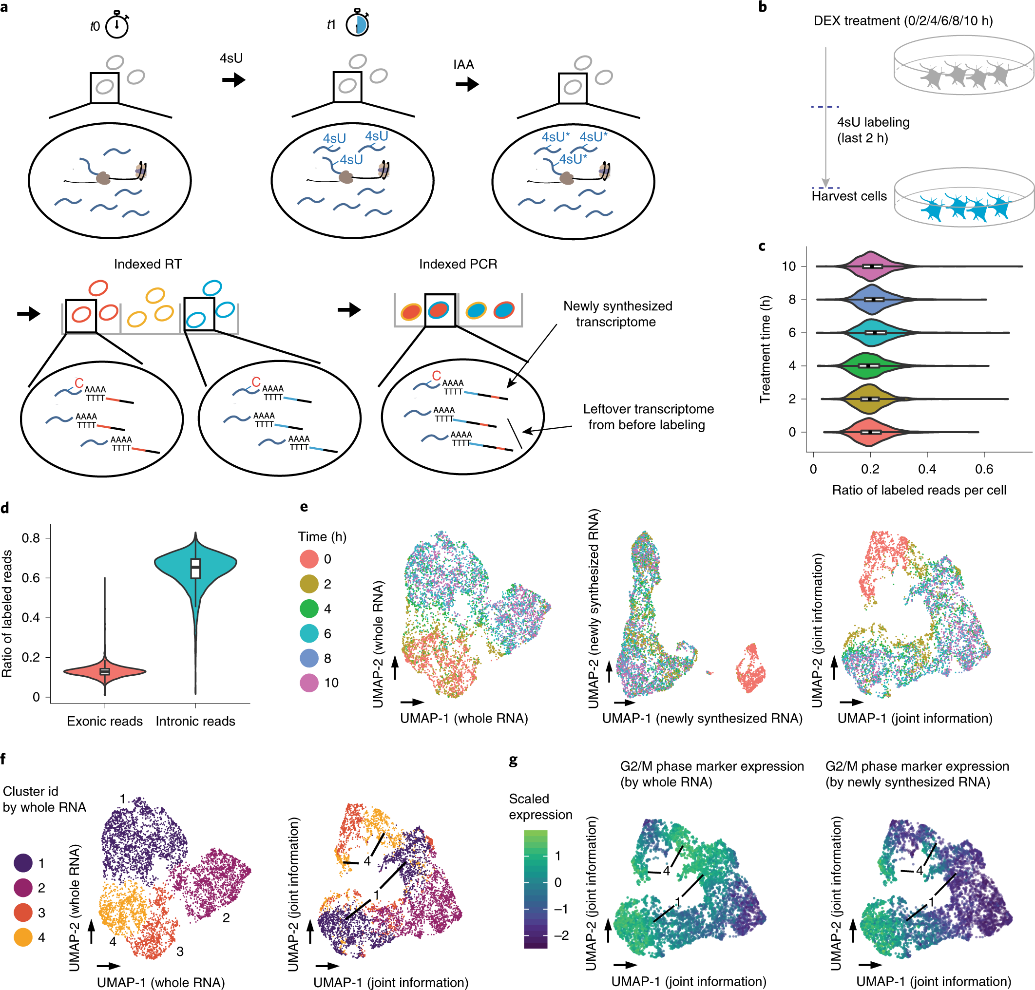 科学命运表征单细胞中基因表达的动力学| RNA-Seq博客 - 图1