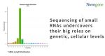 Sequencing of small RNAs undercovers their big roles on genetic, cellular levels | RNA-Seq Blog - 图1