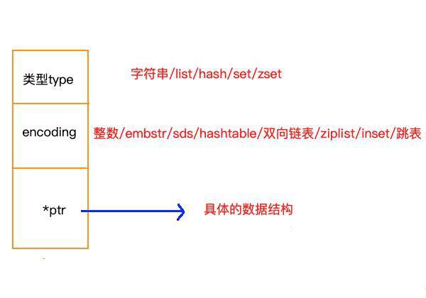 Redis安装、原理和高级应用 - 图1
