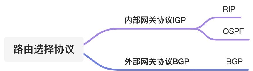 4.5 路由协议 - 图1