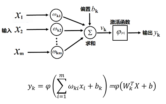 image-20220128132223316.png