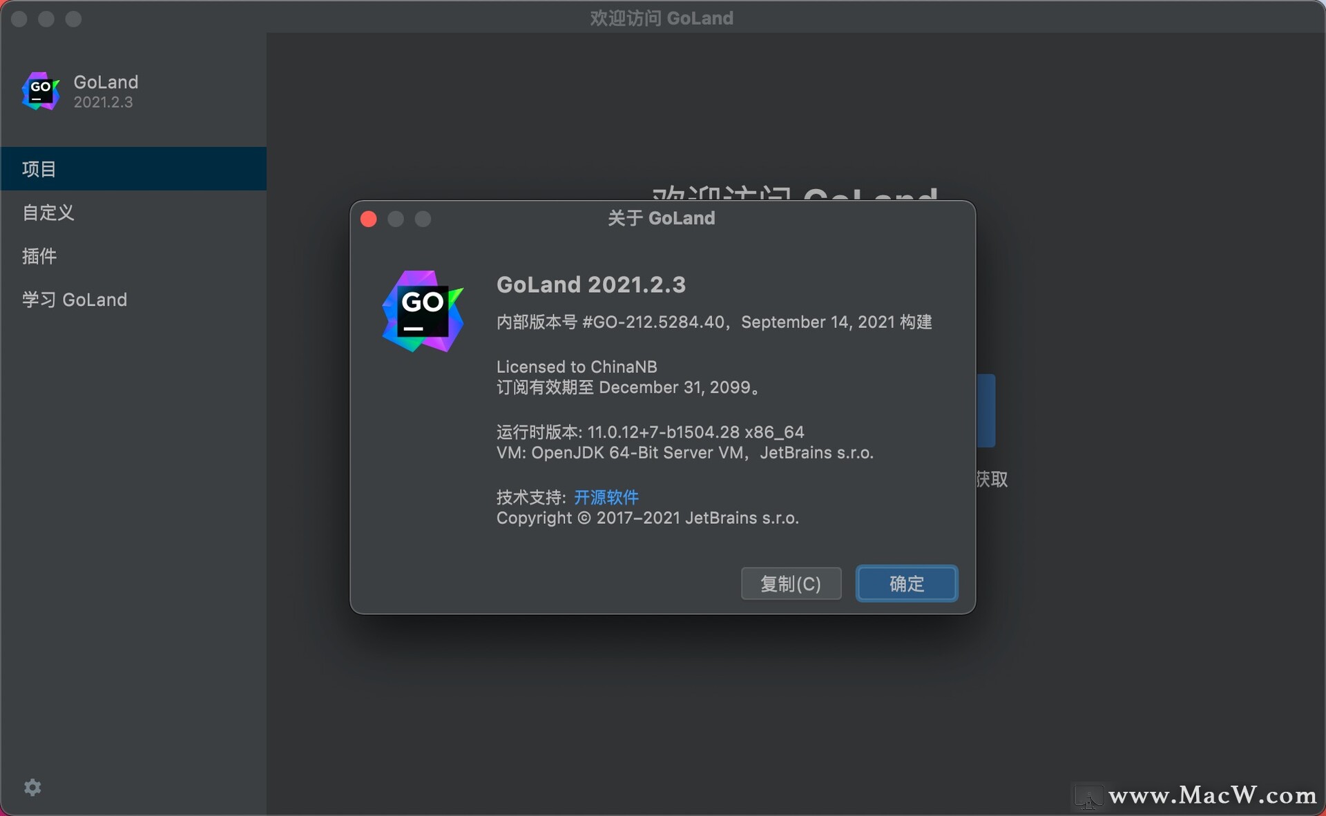 JetBrains GoLand 2021 for Mac(Go语言商用IDE)v2021.2.3中文激活版 - 图1