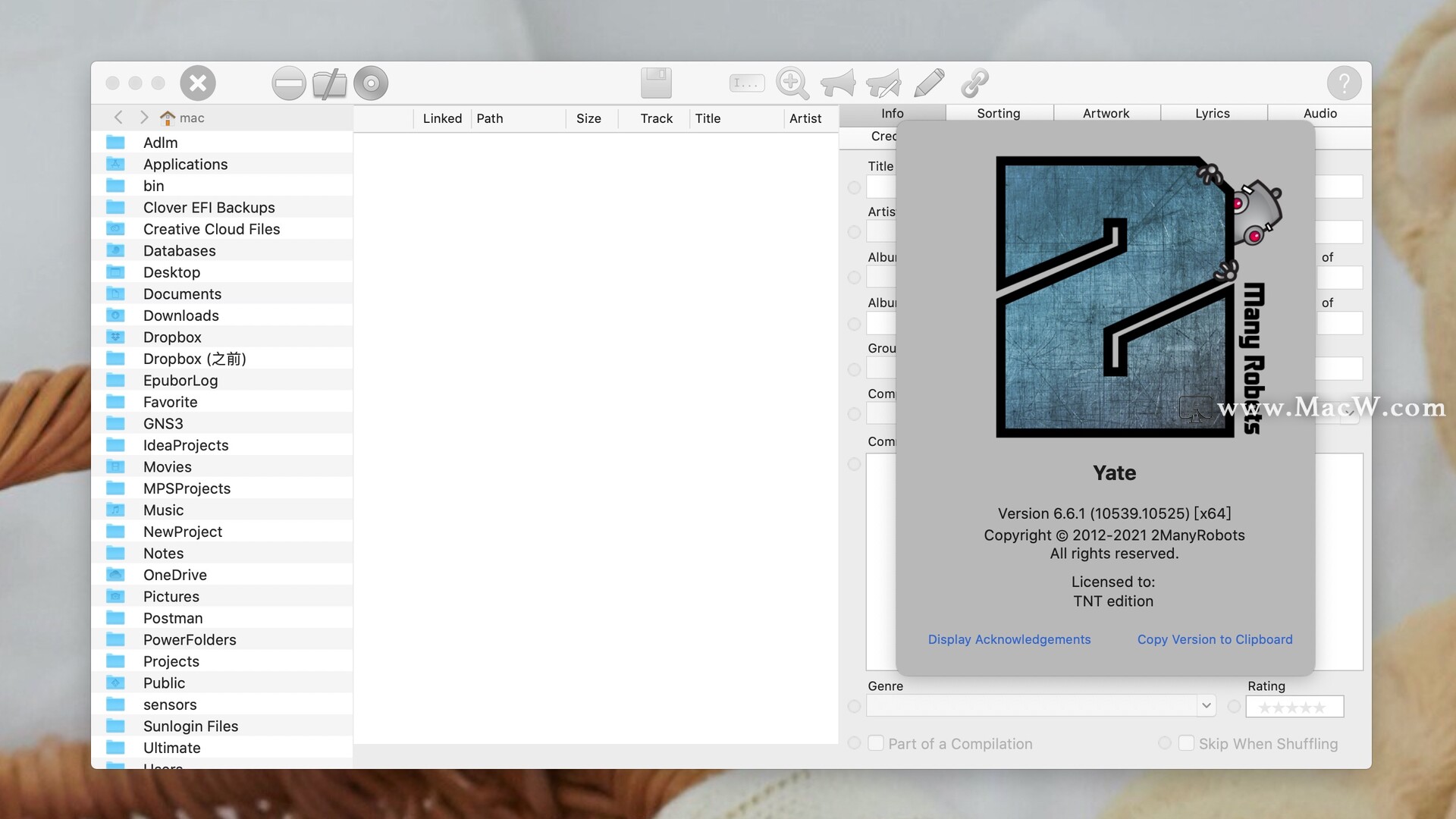 Mac音乐标签管理工具 Yate 6.6.1 - 图1