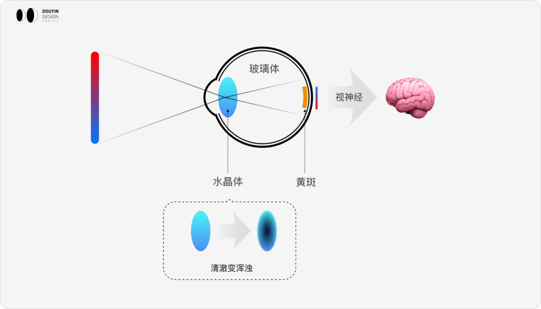 【无障碍】为更多人做设计 ，让抖音更加包容 - 图4