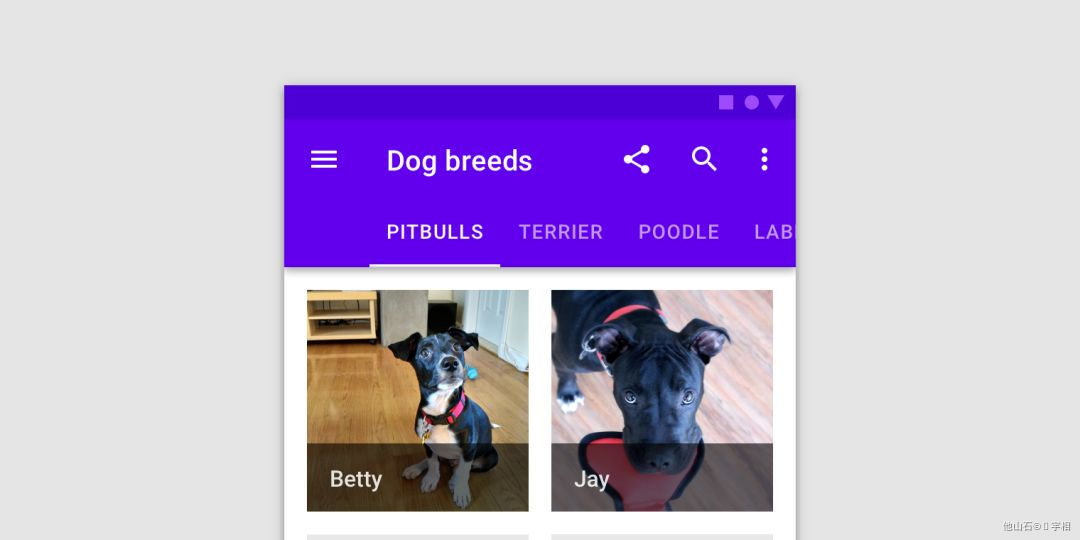 【MD规范】史上zui全Material Design设计规范! - 图66