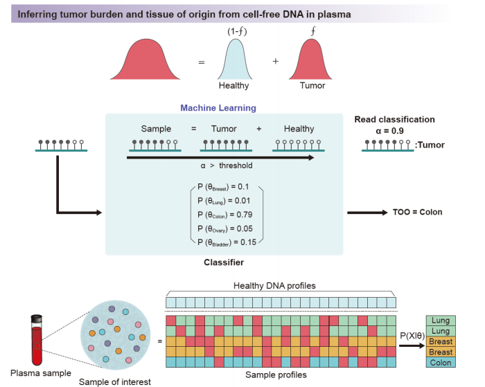 综述-单细胞DNA甲基化研究基础篇：从实验策略到数据分析方法简介 - 图9