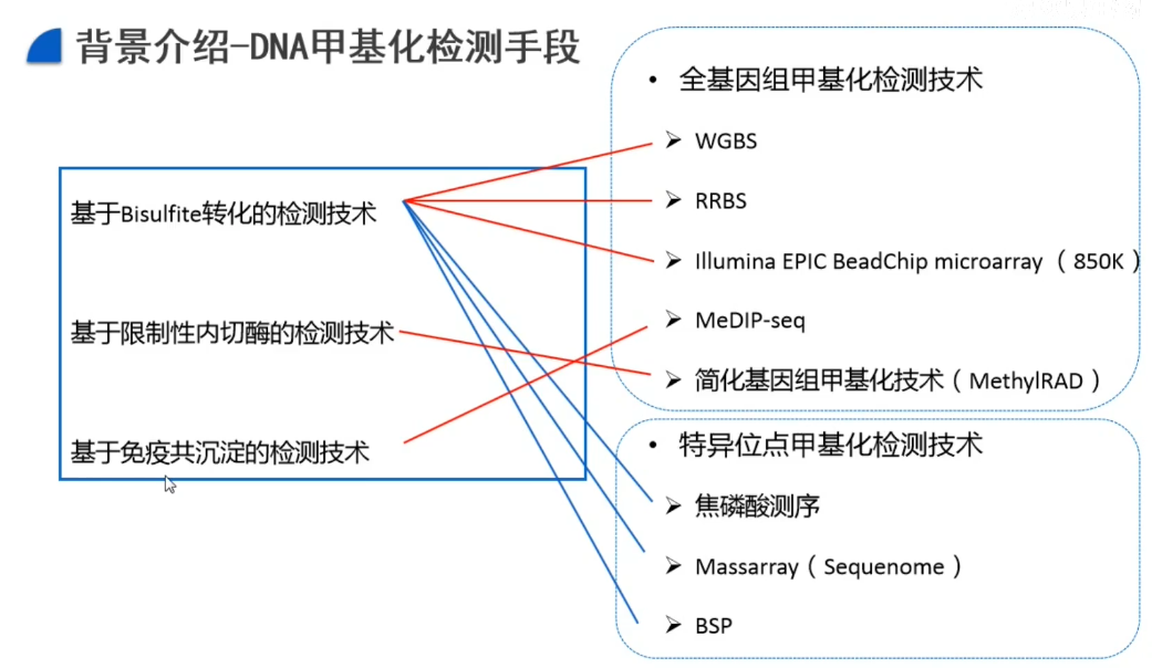 DNA甲基化检测手段.png