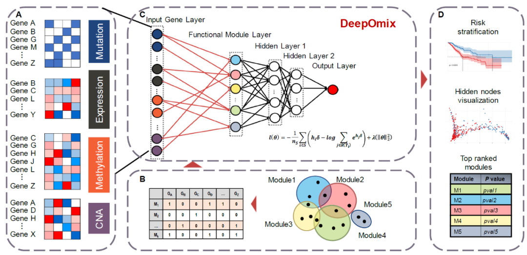 中科院计算所赵屹团队发表多组学数据融合深度学习框架——DeepOmix - 图2