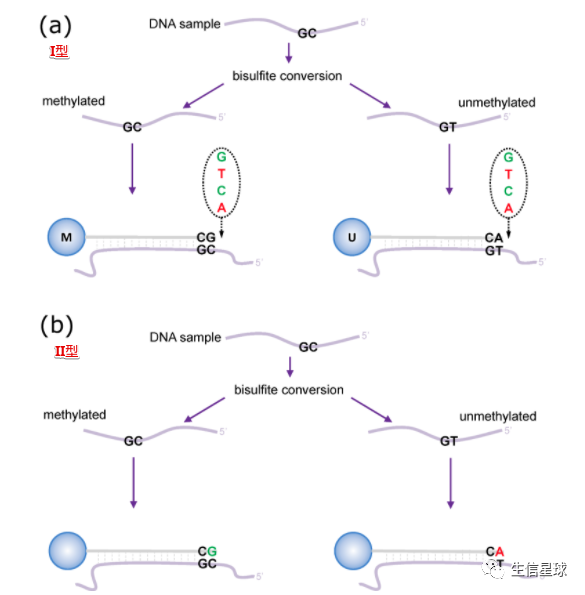 学一学DNA甲基化芯片分析流程 - 图6
