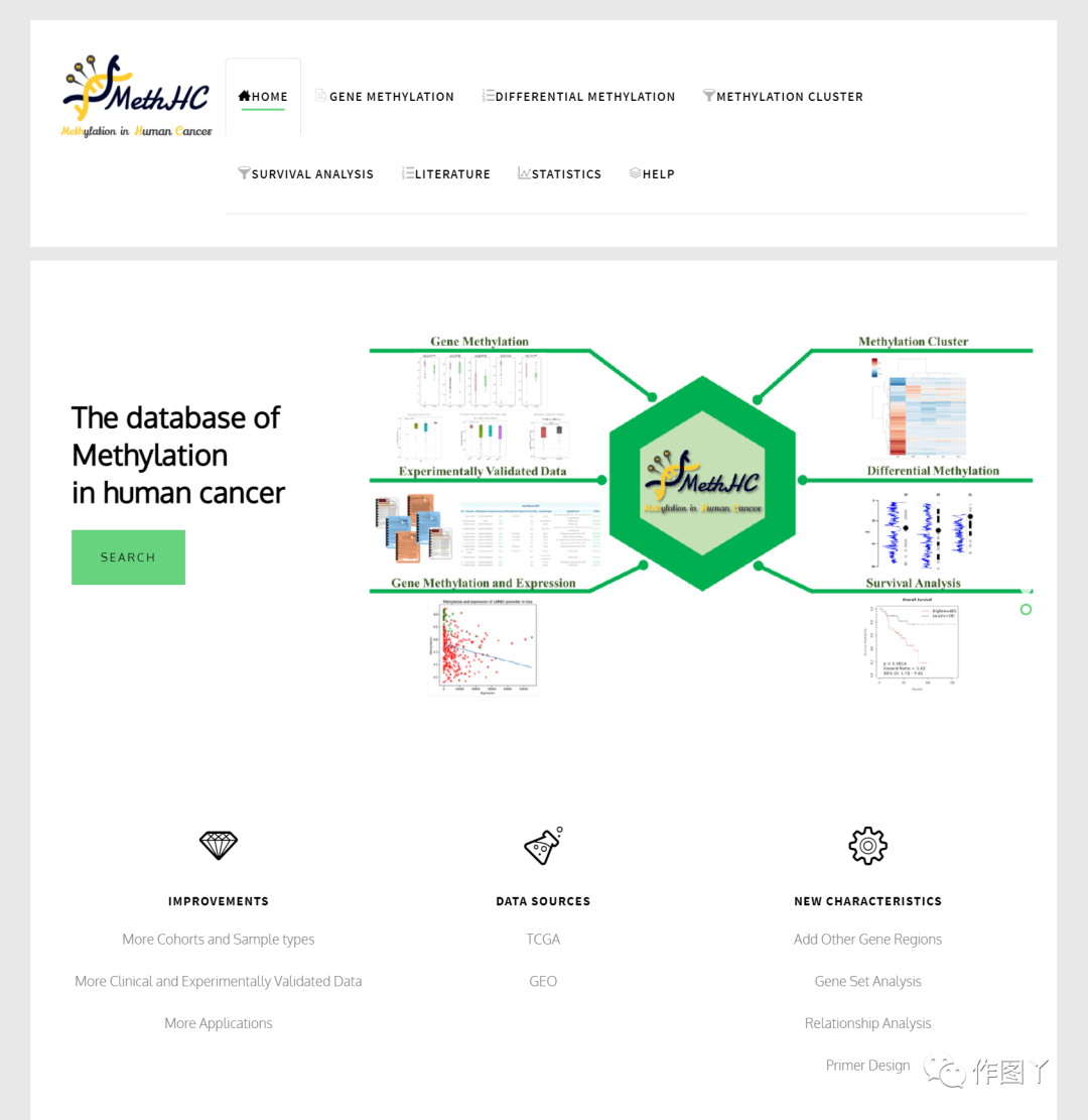MethHC 2.0：泛癌DNA甲基化和基因表达数据库 - 图2