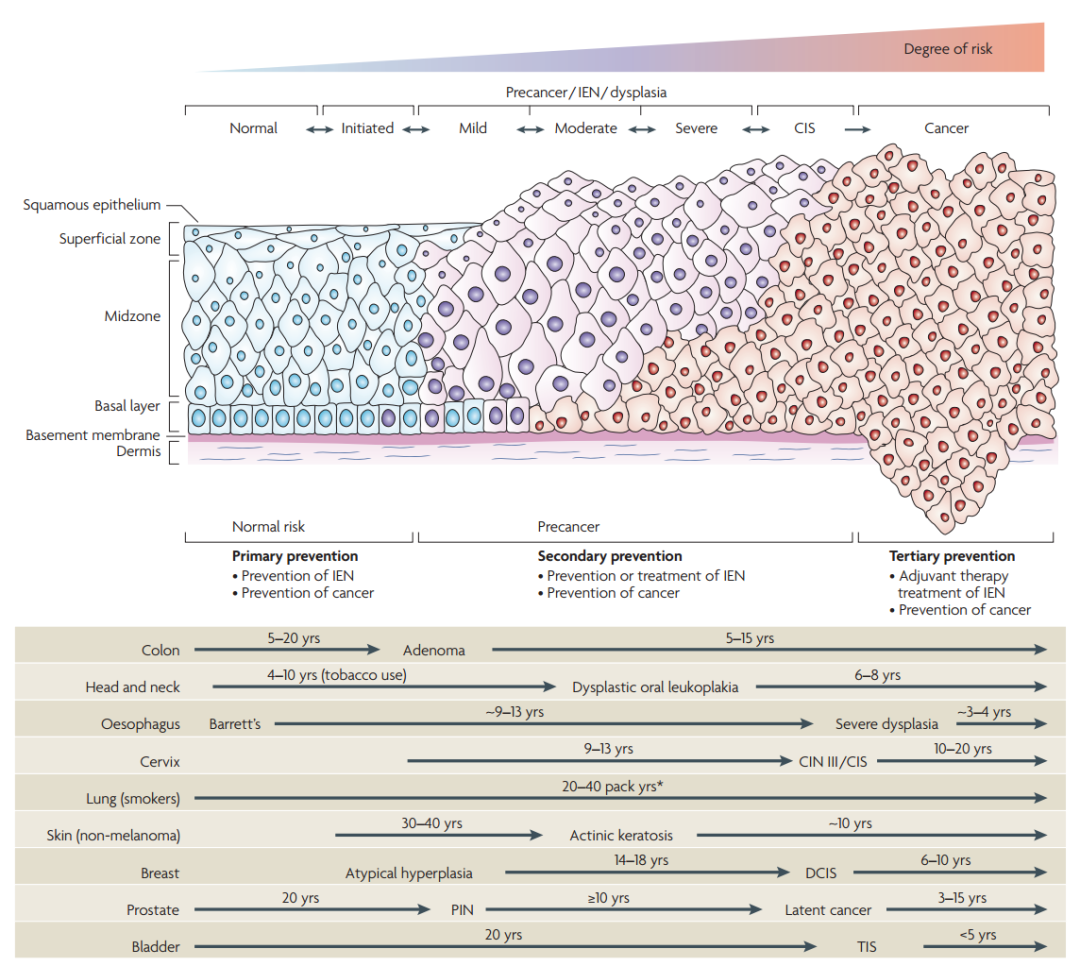 肿瘤的表观遗传学（2万字深度总结） - 图18