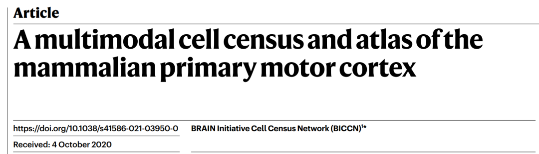 ​BICCN专栏之一 | 总论：大脑皮层运动神经元图谱景观以及数据库联盟BICCN - 图3