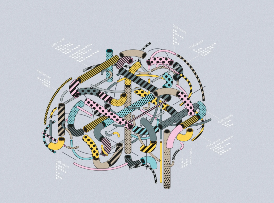 ​BICCN专栏之一 | 总论：大脑皮层运动神经元图谱景观以及数据库联盟BICCN - 图2