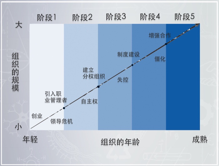 组织发展 - 图4