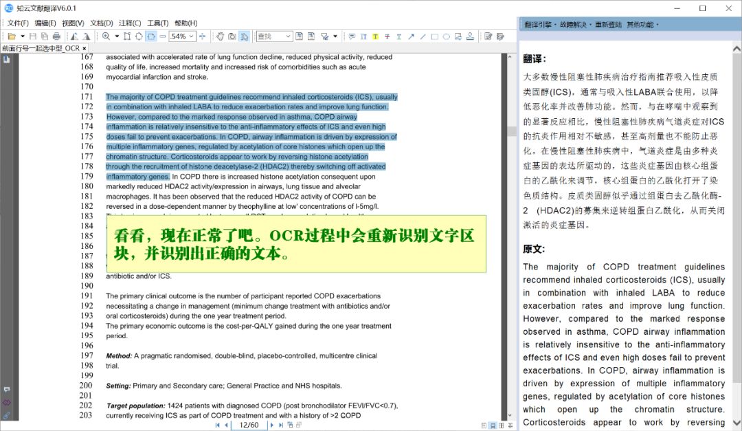 技巧二：特殊PDF的翻译：无法选中文字、乱码、排版混乱…… - 图11