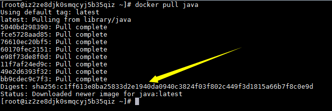 在Docker中安装JDK - 图3