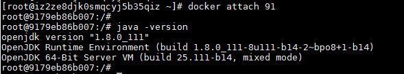 在Docker中安装JDK - 图10