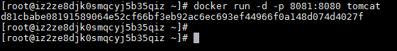 在Docker中安装tomcat - 图5