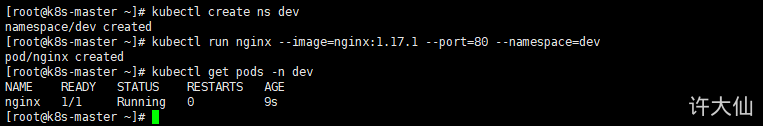创建并运行Nginx的Pod.png