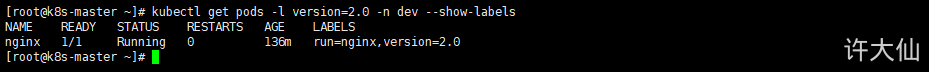 筛选版本号是2.0的在名称为dev的namespace下的Pod.png