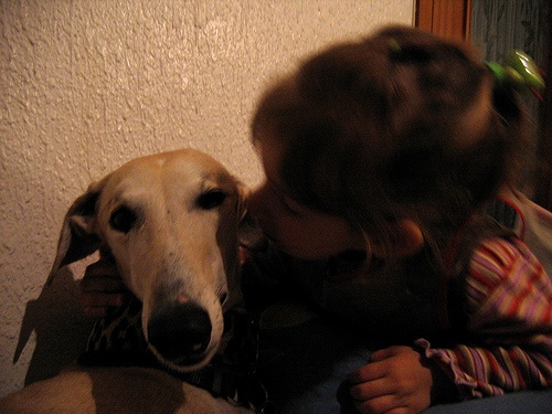 2007_004112.jpg