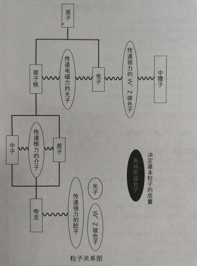 粒子标准模型 - 图4