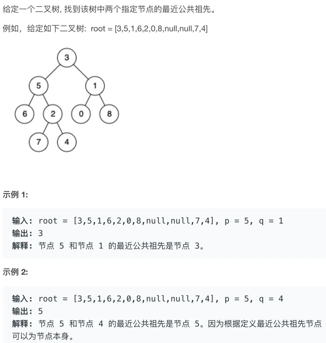 二叉树最近公共祖先 - 图3