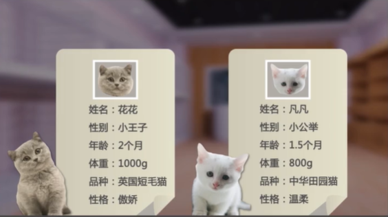 Java面向对象 - 图1